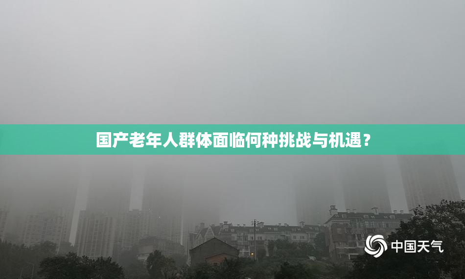 国产老年人群体面临何种挑战与机遇？