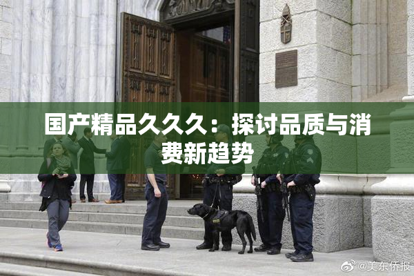 国产精品久久久：探讨品质与消费新趋势