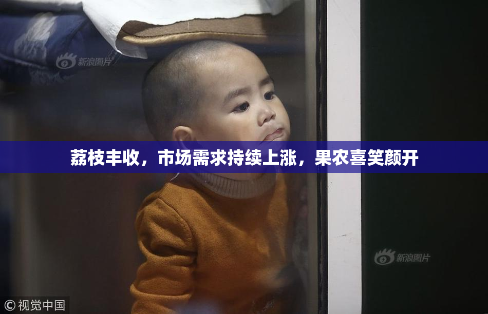 荔枝丰收，市场需求持续上涨，果农喜笑颜开