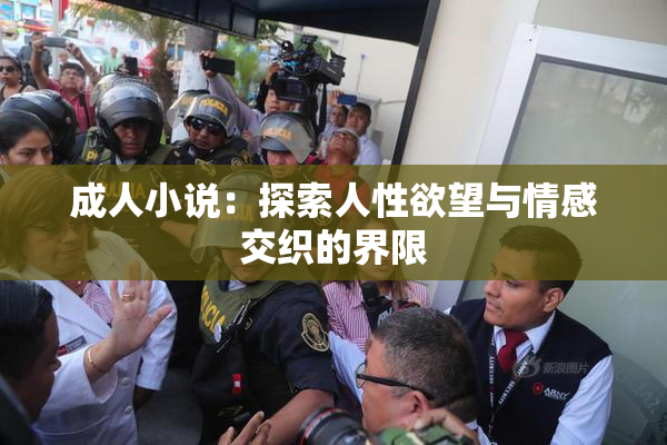 成人小说：探索人性欲望与情感交织的界限