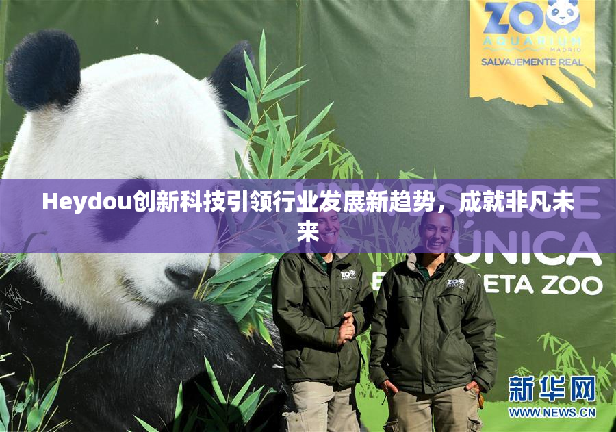 Heydou创新科技引领行业发展新趋势，成就非凡未来