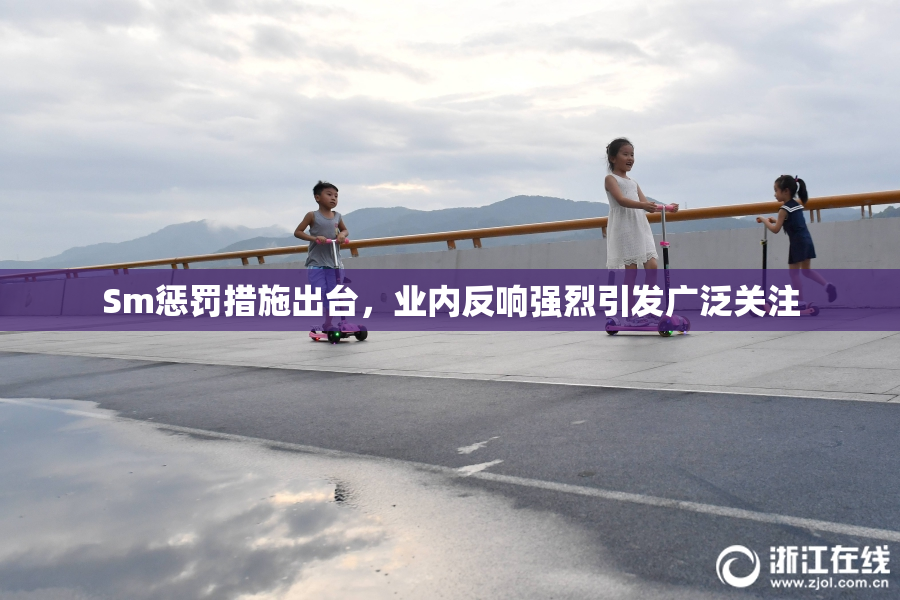 Sm惩罚措施出台，业内反响强烈引发广泛关注