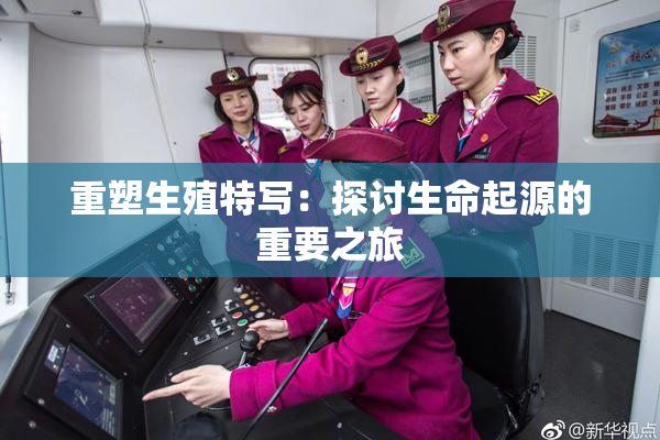 重塑生殖特写：探讨生命起源的重要之旅