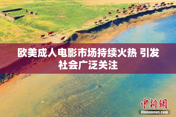 欧美成人电影市场持续火热 引发社会广泛关注