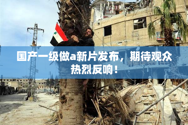 国产一级做a新片发布，期待观众热烈反响！