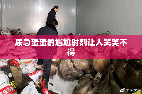 尿急蛋蛋的尴尬时刻让人哭笑不得
