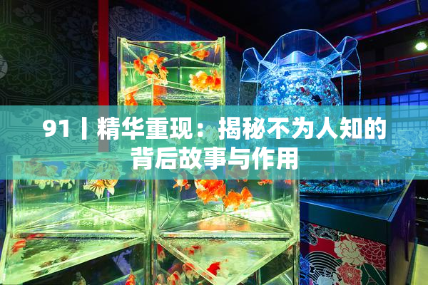 91丨精华重现：揭秘不为人知的背后故事与作用