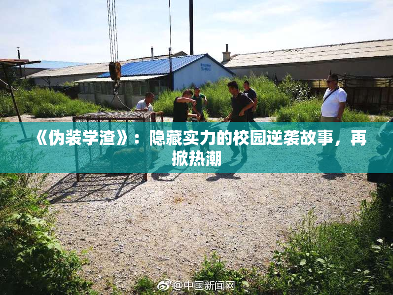 《伪装学渣》：隐藏实力的校园逆袭故事，再掀热潮