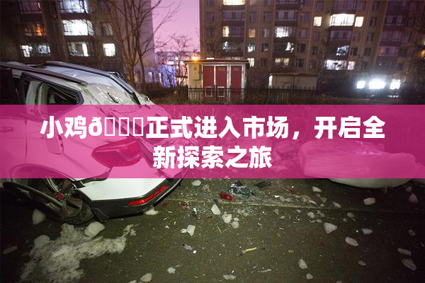 小鸡🐔正式进入市场，开启全新探索之旅