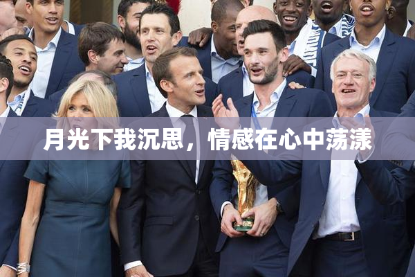 月光下我沉思，情感在心中荡漾