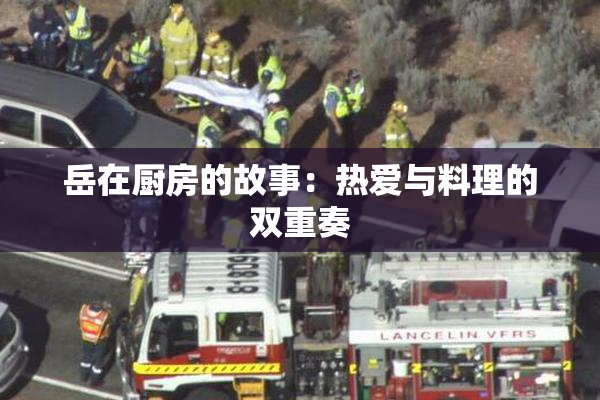 岳在厨房的故事：热爱与料理的双重奏