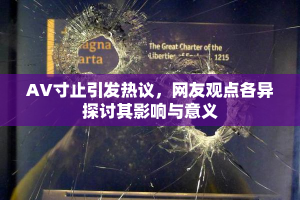 AV寸止引发热议，网友观点各异探讨其影响与意义