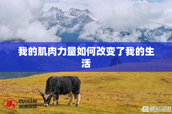 我的肌肉力量如何改变了我的生活