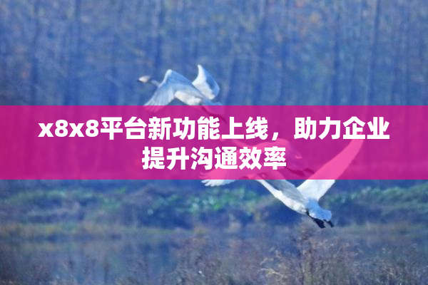 x8x8平台新功能上线，助力企业提升沟通效率