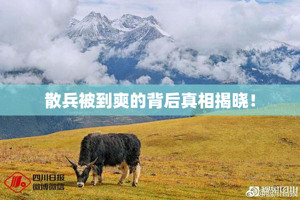 散兵被到爽的背后真相揭晓！