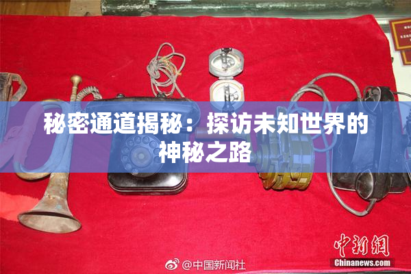 秘密通道揭秘：探访未知世界的神秘之路