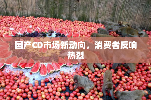 国产CD市场新动向，消费者反响热烈