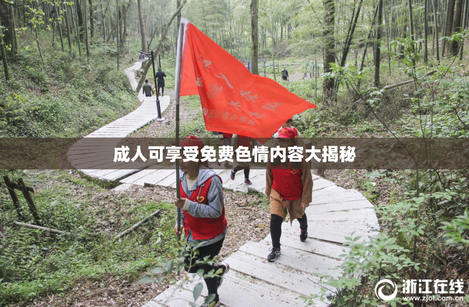 成人可享受免费色情内容大揭秘