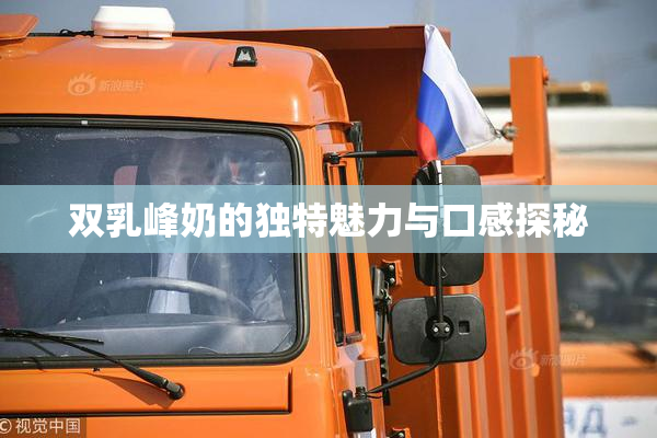 双乳峰奶的独特魅力与口感探秘