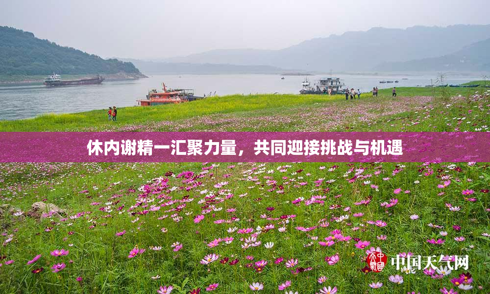 休内谢精一汇聚力量，共同迎接挑战与机遇