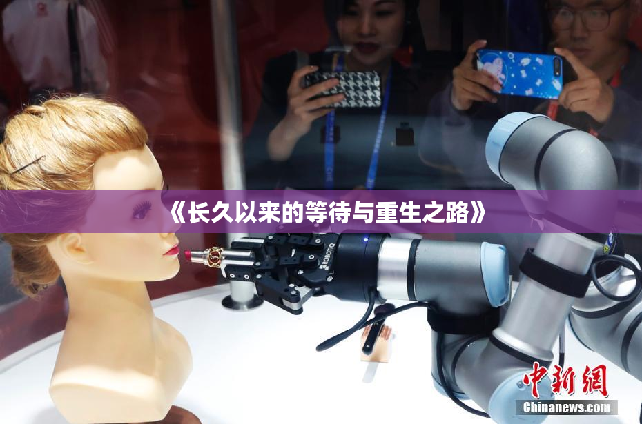 《长久以来的等待与重生之路》