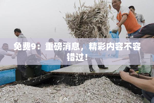 免费9：重磅消息，精彩内容不容错过！