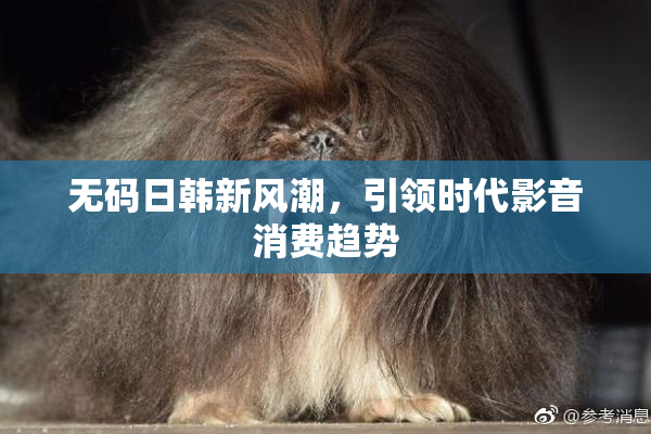 无码日韩新风潮，引领时代影音消费趋势