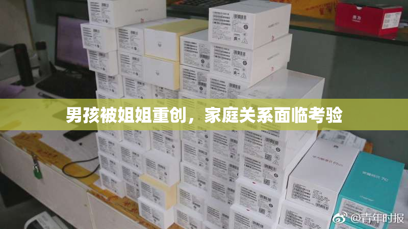 男孩被姐姐重创，家庭关系面临考验