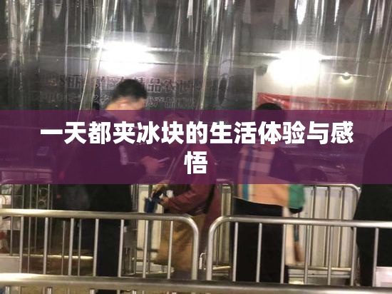 一天都夹冰块的生活体验与感悟