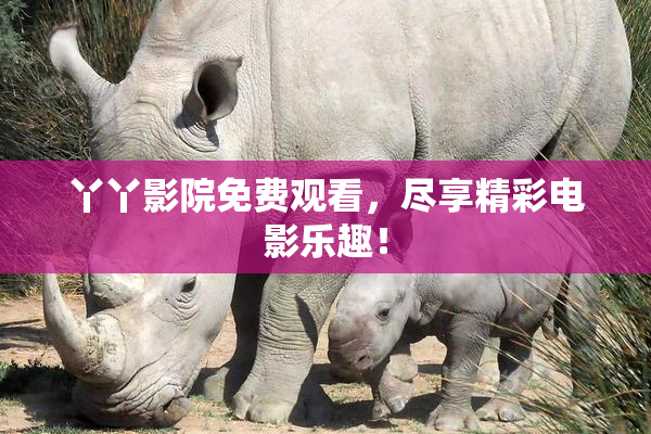 丫丫影院免费观看，尽享精彩电影乐趣！