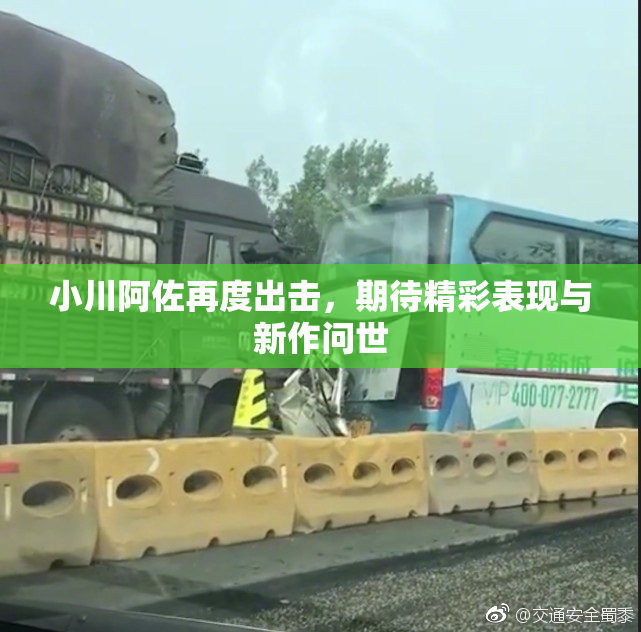 小川阿佐再度出击，期待精彩表现与新作问世