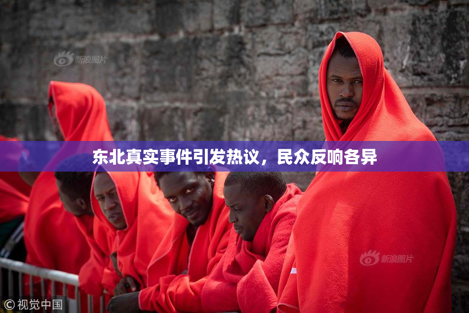 东北真实事件引发热议，民众反响各异
