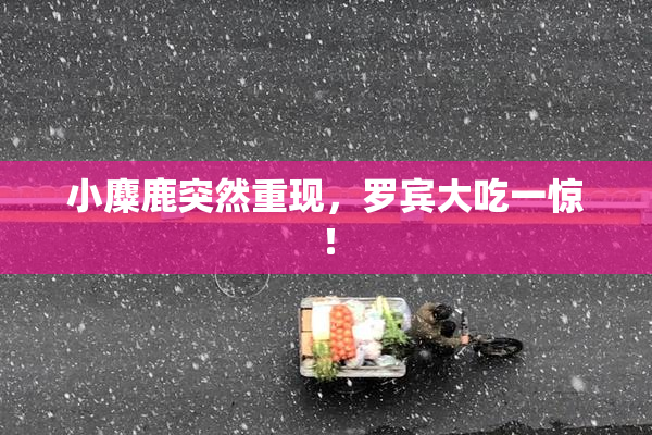 小麋鹿突然重现，罗宾大吃一惊！