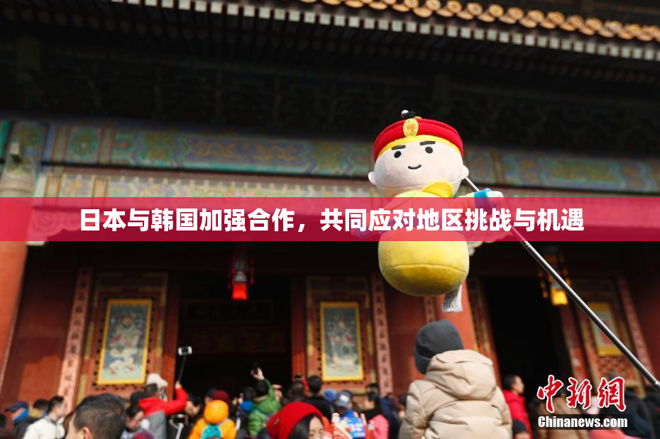 日本与韩国加强合作，共同应对地区挑战与机遇