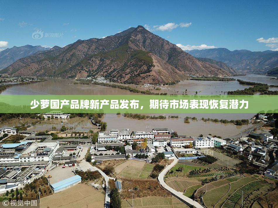 少萝国产品牌新产品发布，期待市场表现恢复潜力