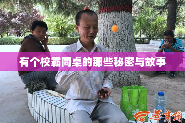 有个校霸同桌的那些秘密与故事
