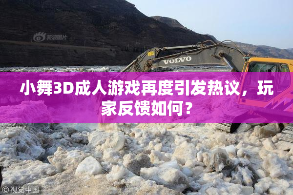 小舞3D成人游戏再度引发热议，玩家反馈如何？