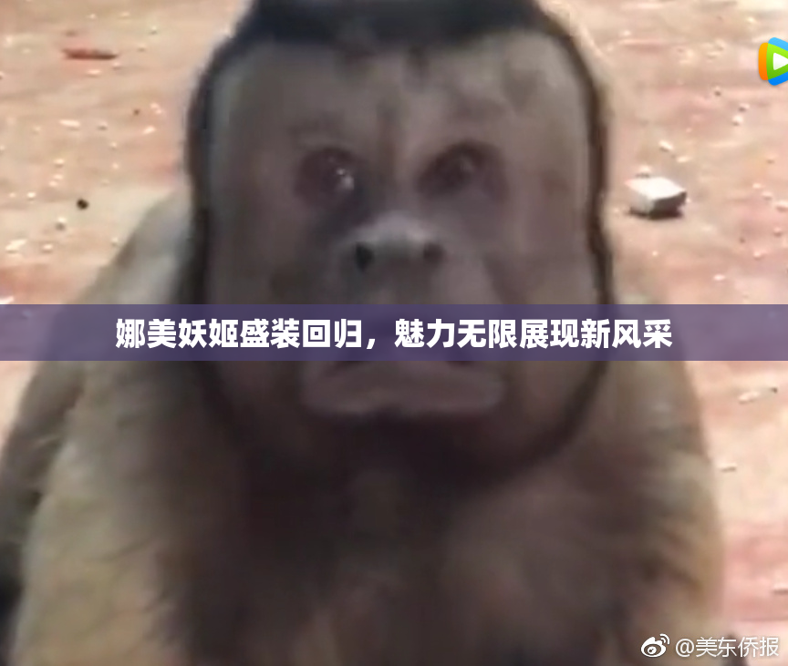 娜美妖姬盛装回归，魅力无限展现新风采