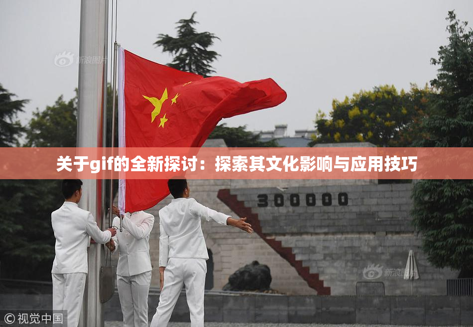 关于gif的全新探讨：探索其文化影响与应用技巧