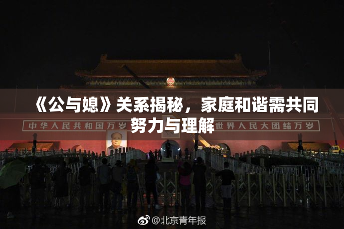 《公与媳》关系揭秘，家庭和谐需共同努力与理解