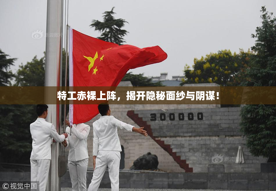 特工赤裸上阵，揭开隐秘面纱与阴谋！