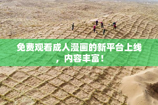 免费观看成人漫画的新平台上线，内容丰富！