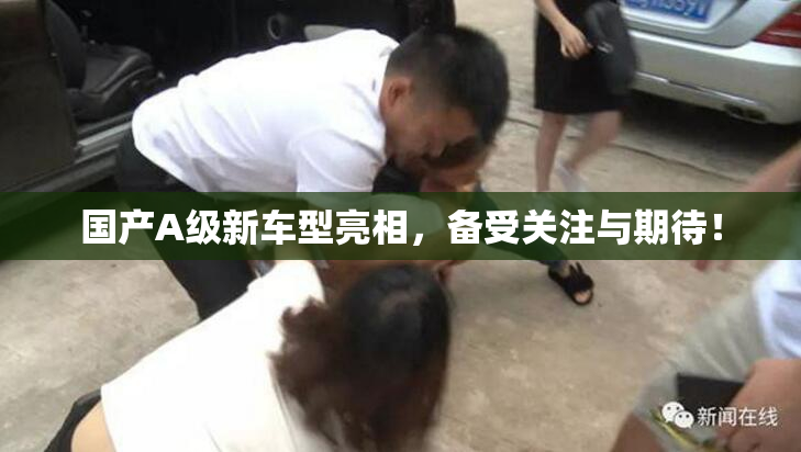 国产A级新车型亮相，备受关注与期待！