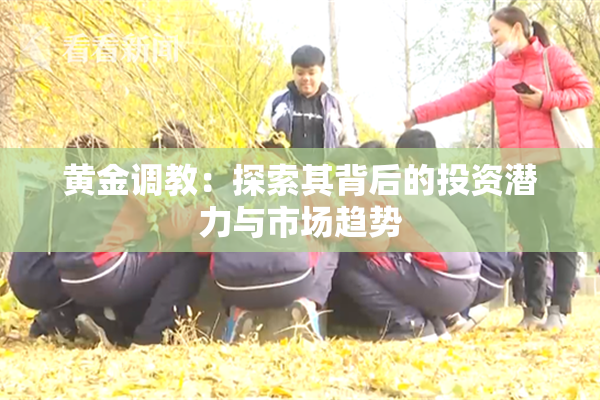 黄金调教：探索其背后的投资潜力与市场趋势