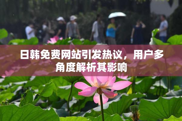 日韩免费网站引发热议，用户多角度解析其影响