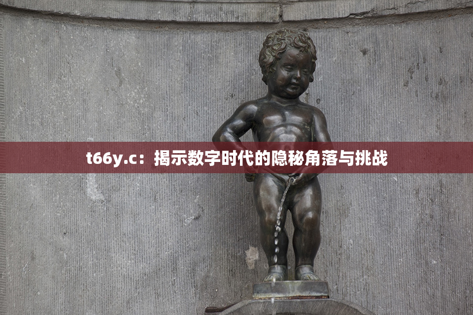 t66y.c：揭示数字时代的隐秘角落与挑战
