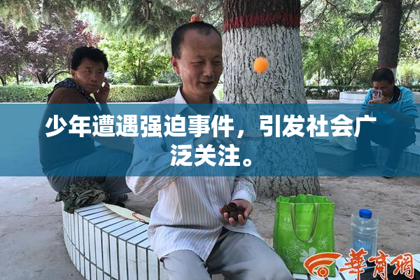 少年遭遇强迫事件，引发社会广泛关注。