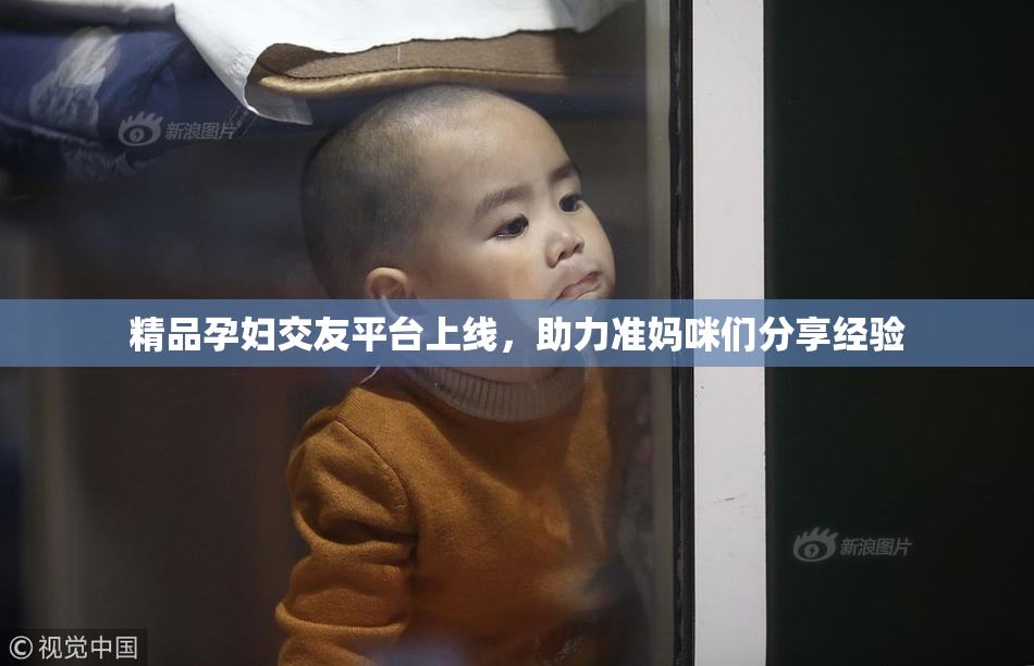 精品孕妇交友平台上线，助力准妈咪们分享经验