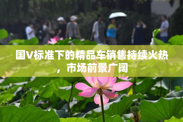 国V标准下的精品车销售持续火热，市场前景广阔