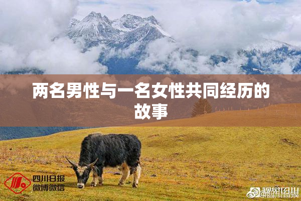 两名男性与一名女性共同经历的故事
